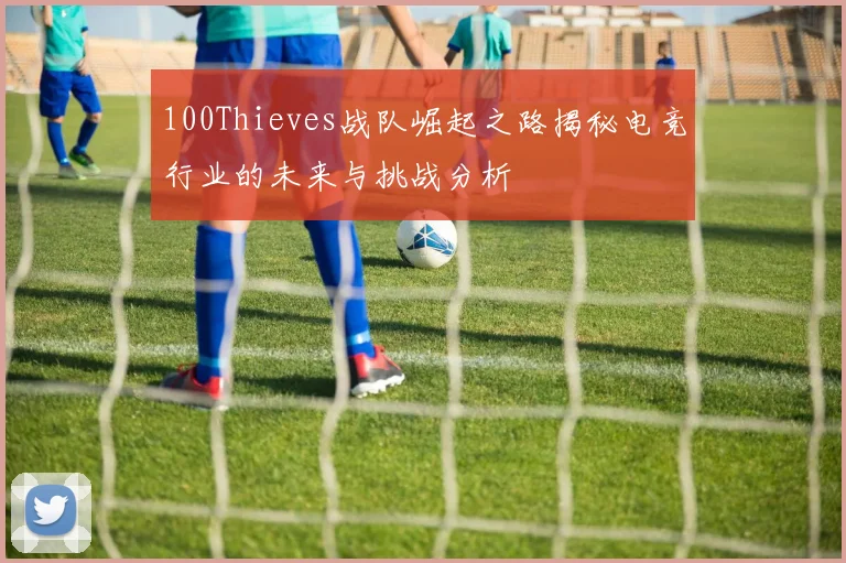 100Thieves战队崛起之路揭秘电竞行业的未来与挑战分析