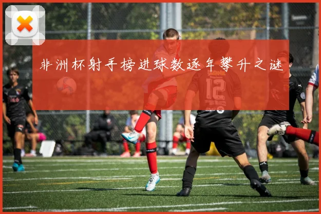非洲杯射手榜进球数逐年攀升之谜