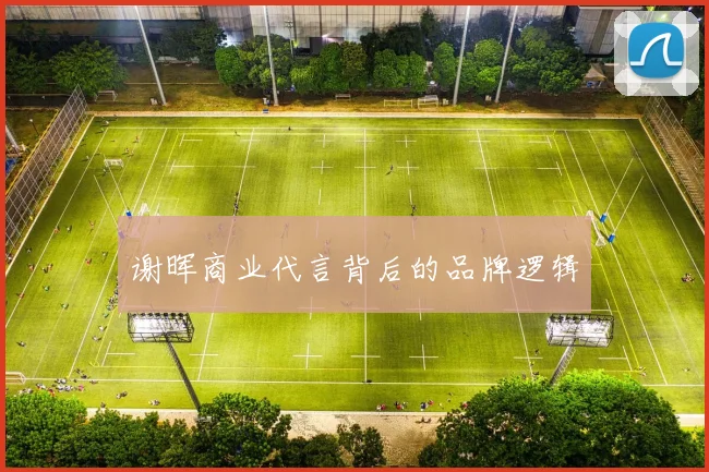 谢晖商业代言背后的品牌逻辑